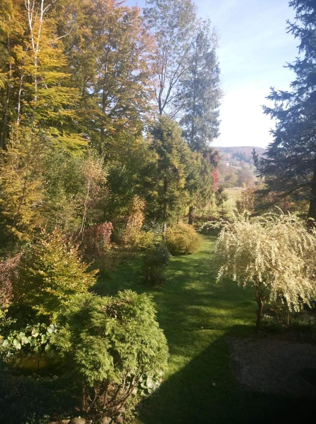 Mieszkanie W Gorach W Domu Prywatnym W Beskidzie Zywieckim 25Km Od Zywca Koszarawa Exterior foto