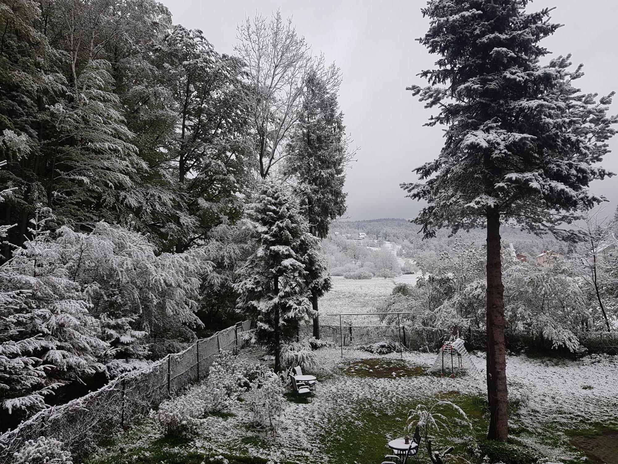 Mieszkanie W Gorach W Domu Prywatnym W Beskidzie Zywieckim 25Km Od Zywca Koszarawa Exterior foto