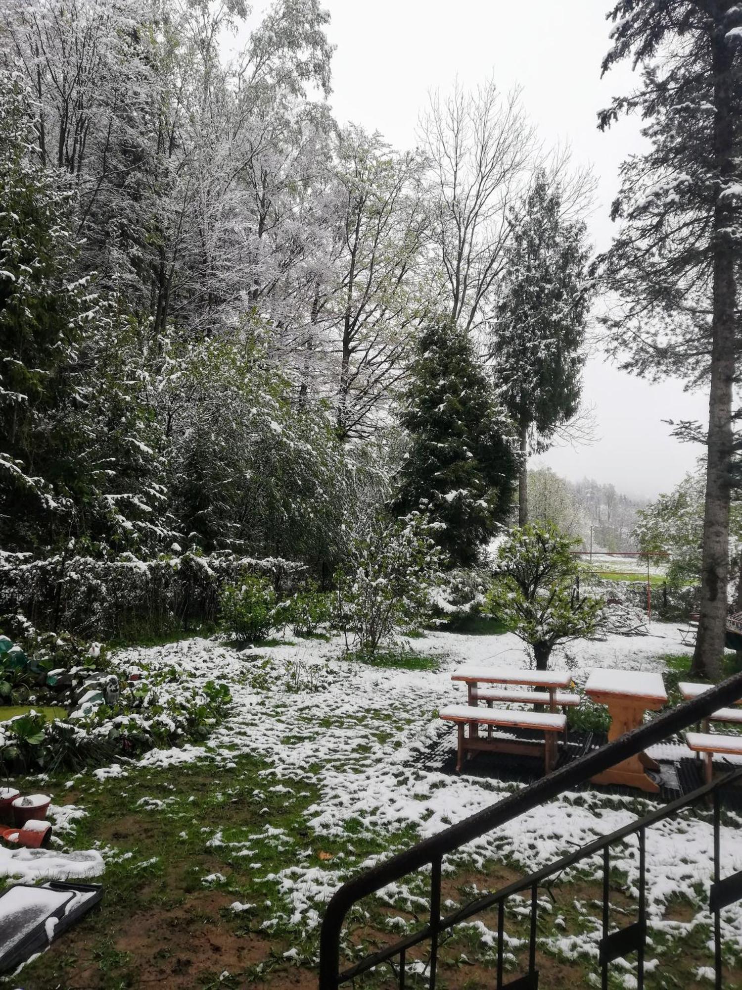 Mieszkanie W Gorach W Domu Prywatnym W Beskidzie Zywieckim 25Km Od Zywca Koszarawa Exterior foto